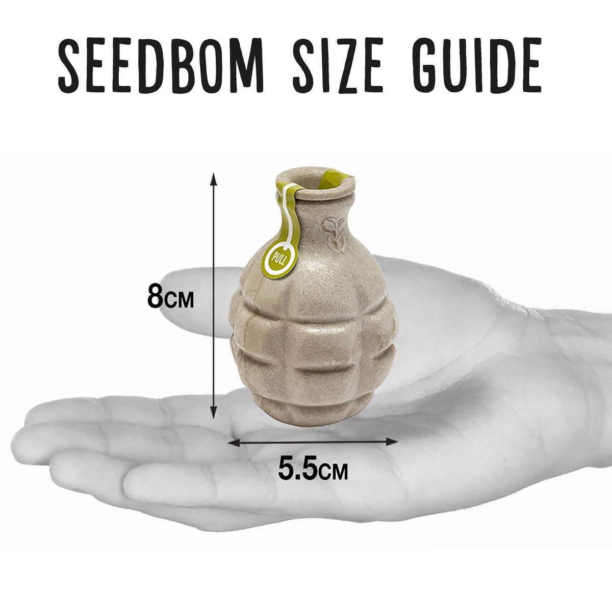 Featherbom & Urban Bloomer Seedbom - Mixed CDU Pack