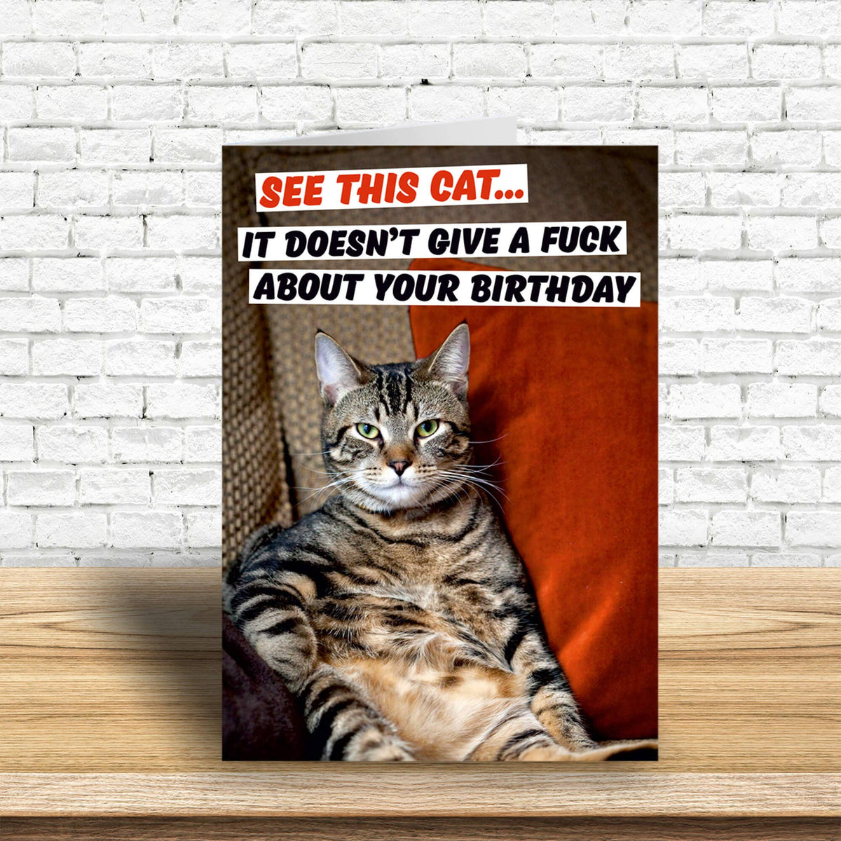 See This Cat. It Doesn&#39;t Give A F*** About Your Greeting Car