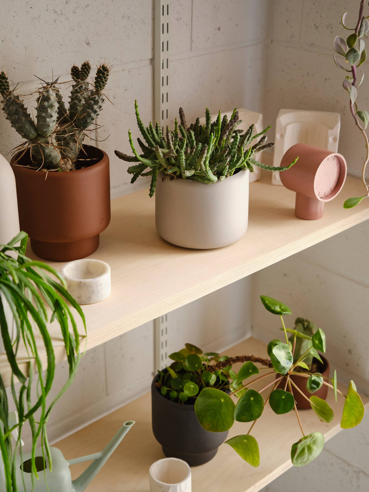 BOTANY porcelain Plant Pot SMALL: Dark Terracotta
