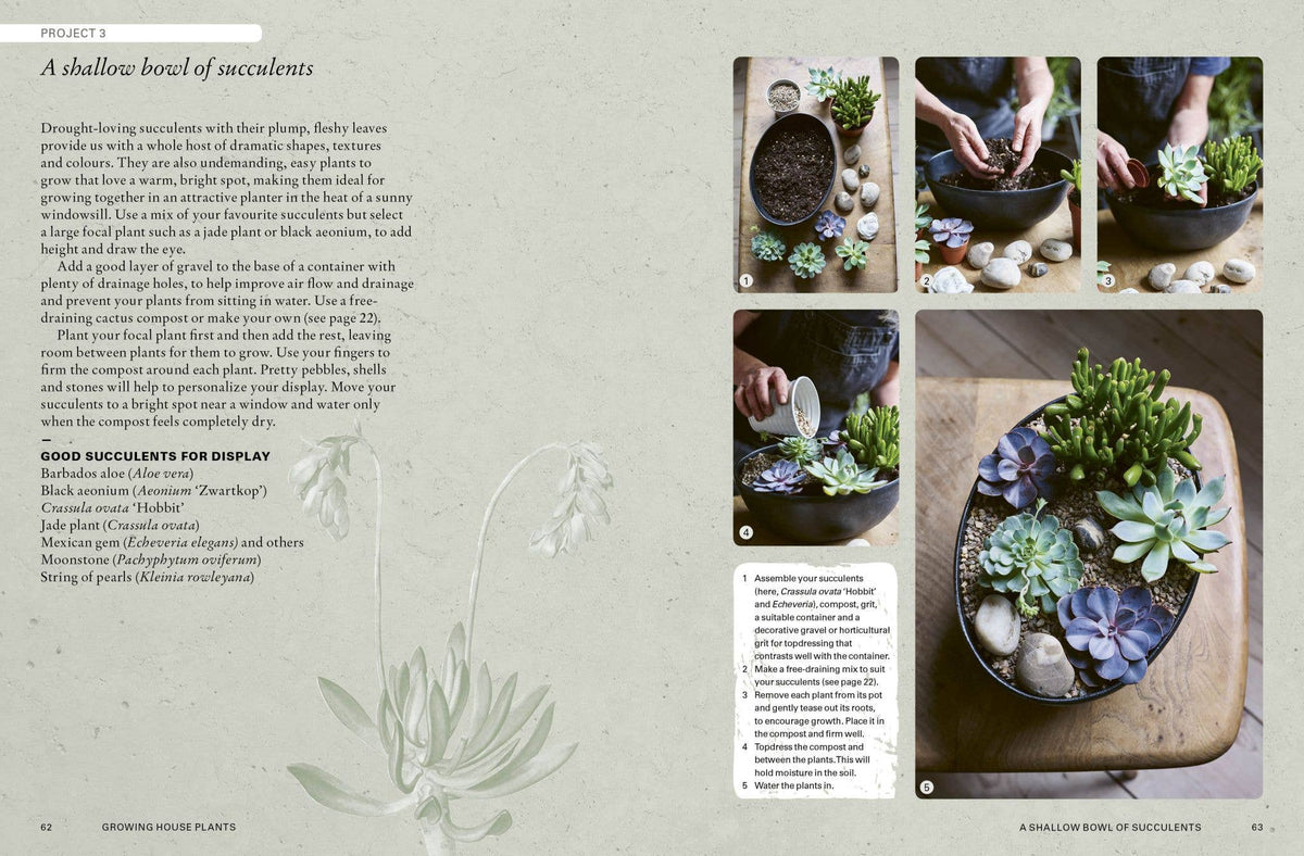 The Kew Gardener’s Guide to Growing House Plants