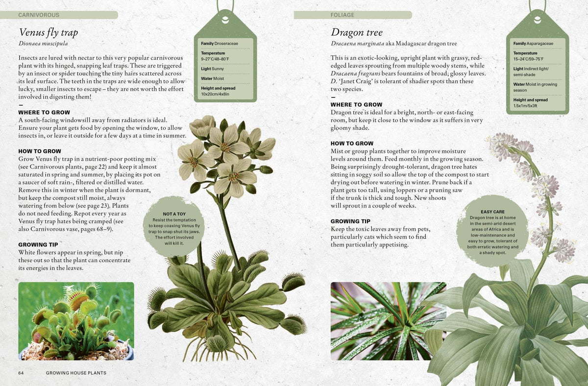 The Kew Gardener’s Guide to Growing House Plants