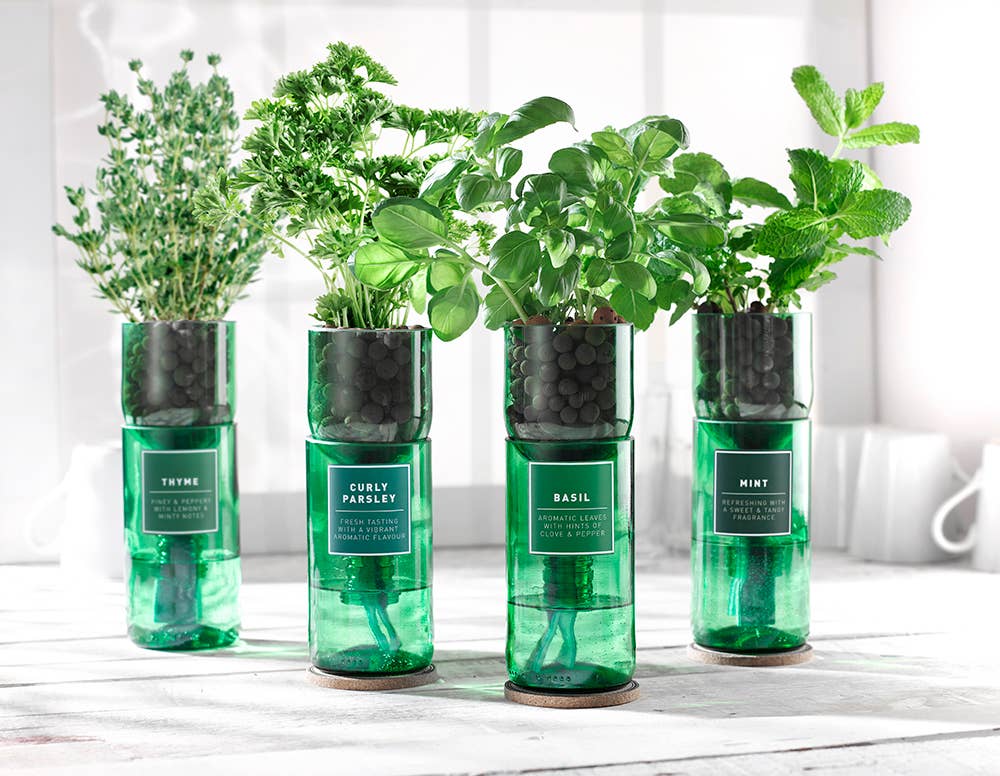 Hydro-Herb Basil