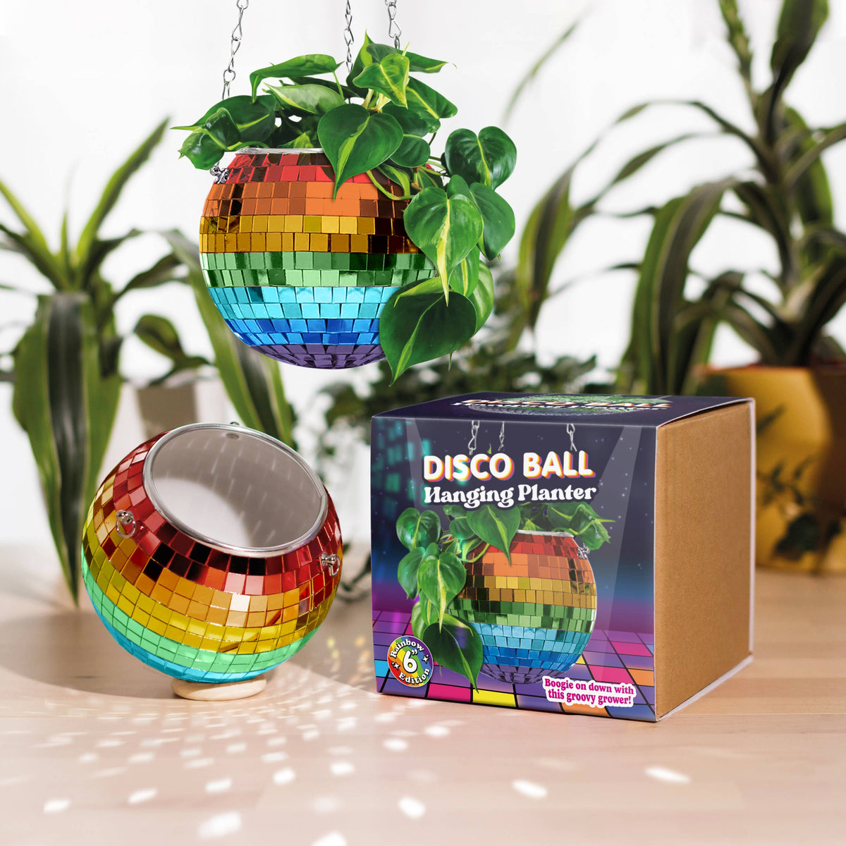 Disco Ball Hanging Planter Rainbow 6-inch | Gift & Home