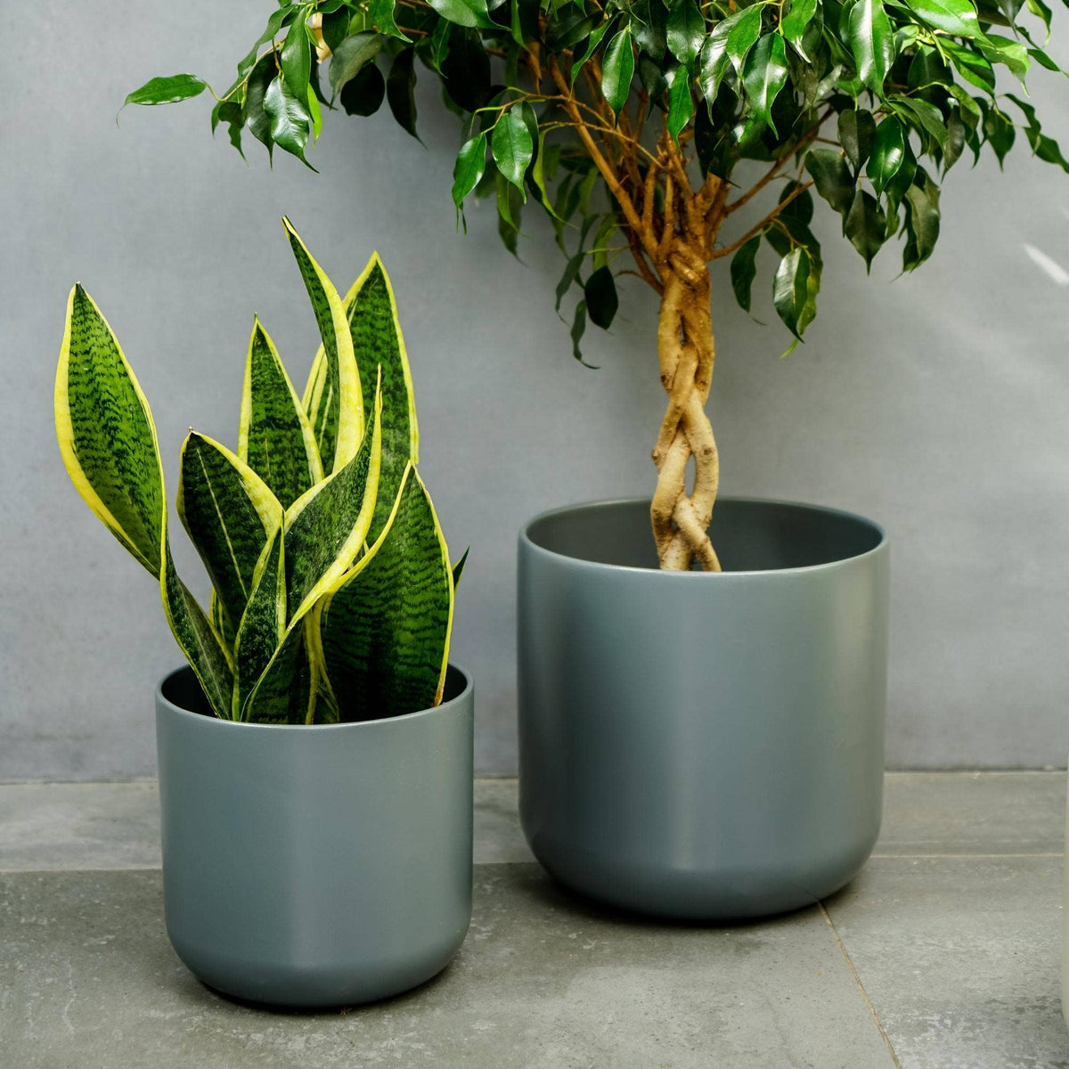 Lisbon Ceramic Indoor Planter H20.5cm D20.5cm: Anthracite