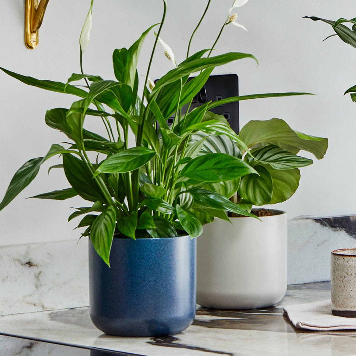 Lisbon Ceramic Indoor Planter H15cm D15cm: Anthracite