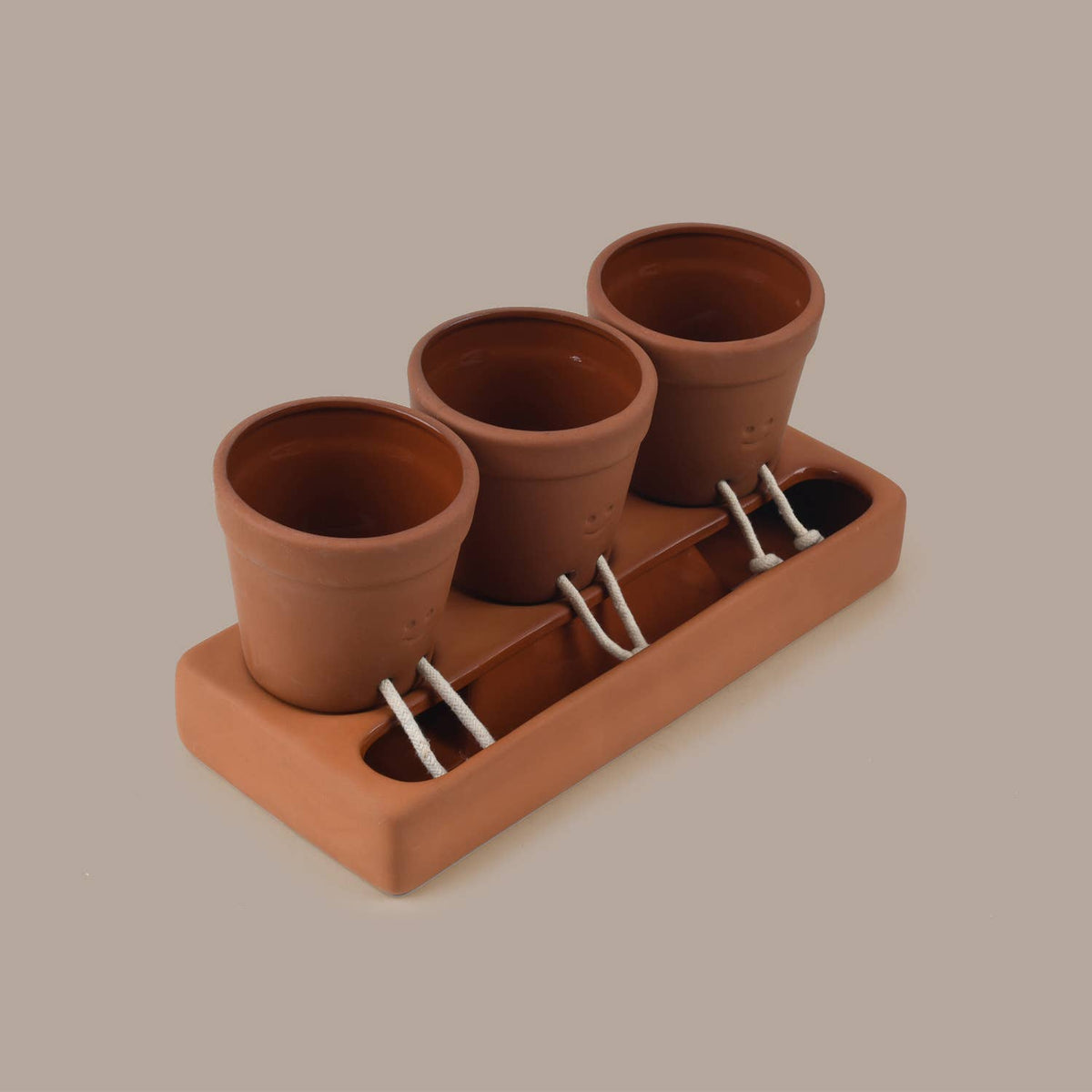Trio Self Care Planter| Self Watering Plant Pot | Home Decor