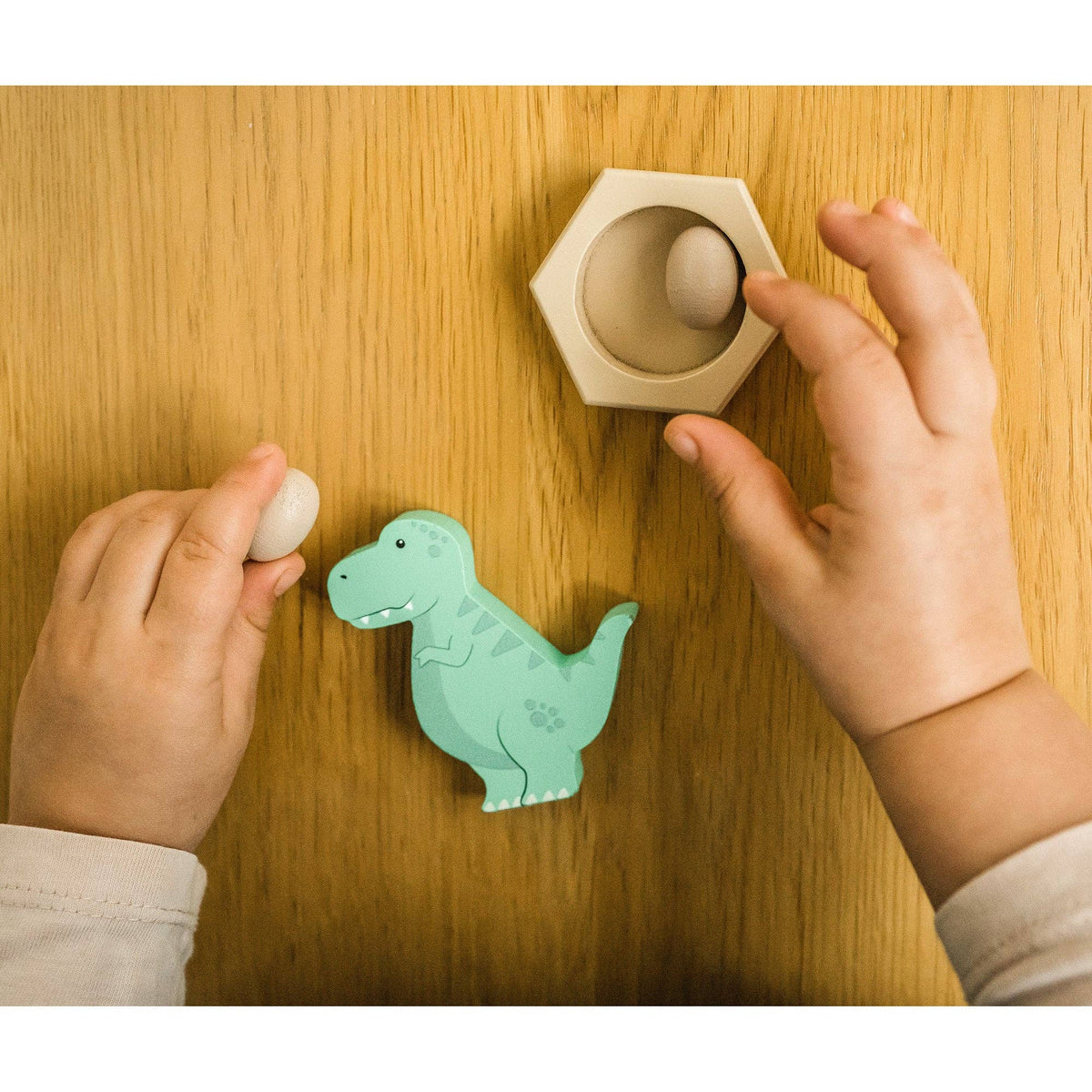 Dinosaur Play Set
