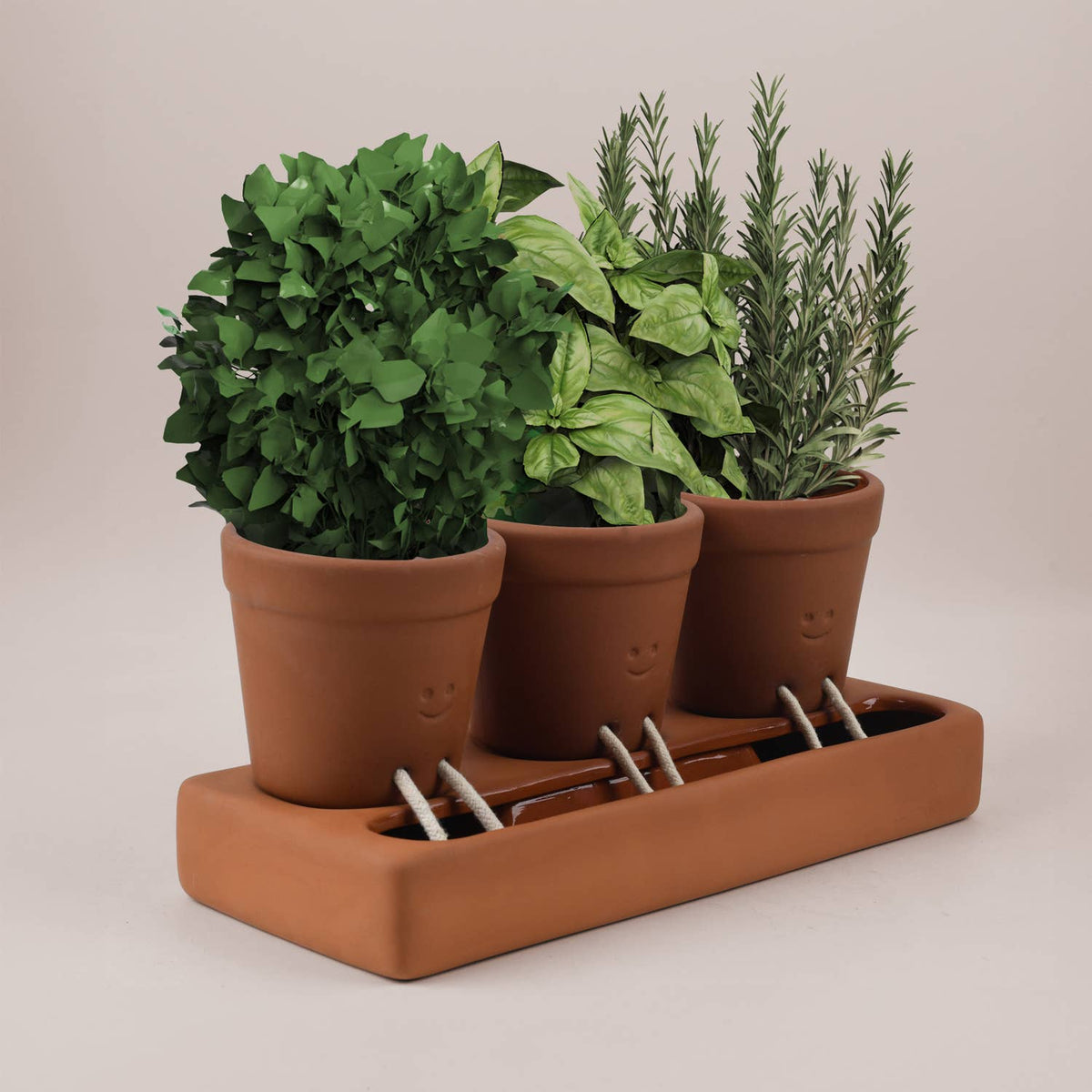 Trio Self Care Planter| Self Watering Plant Pot | Home Decor