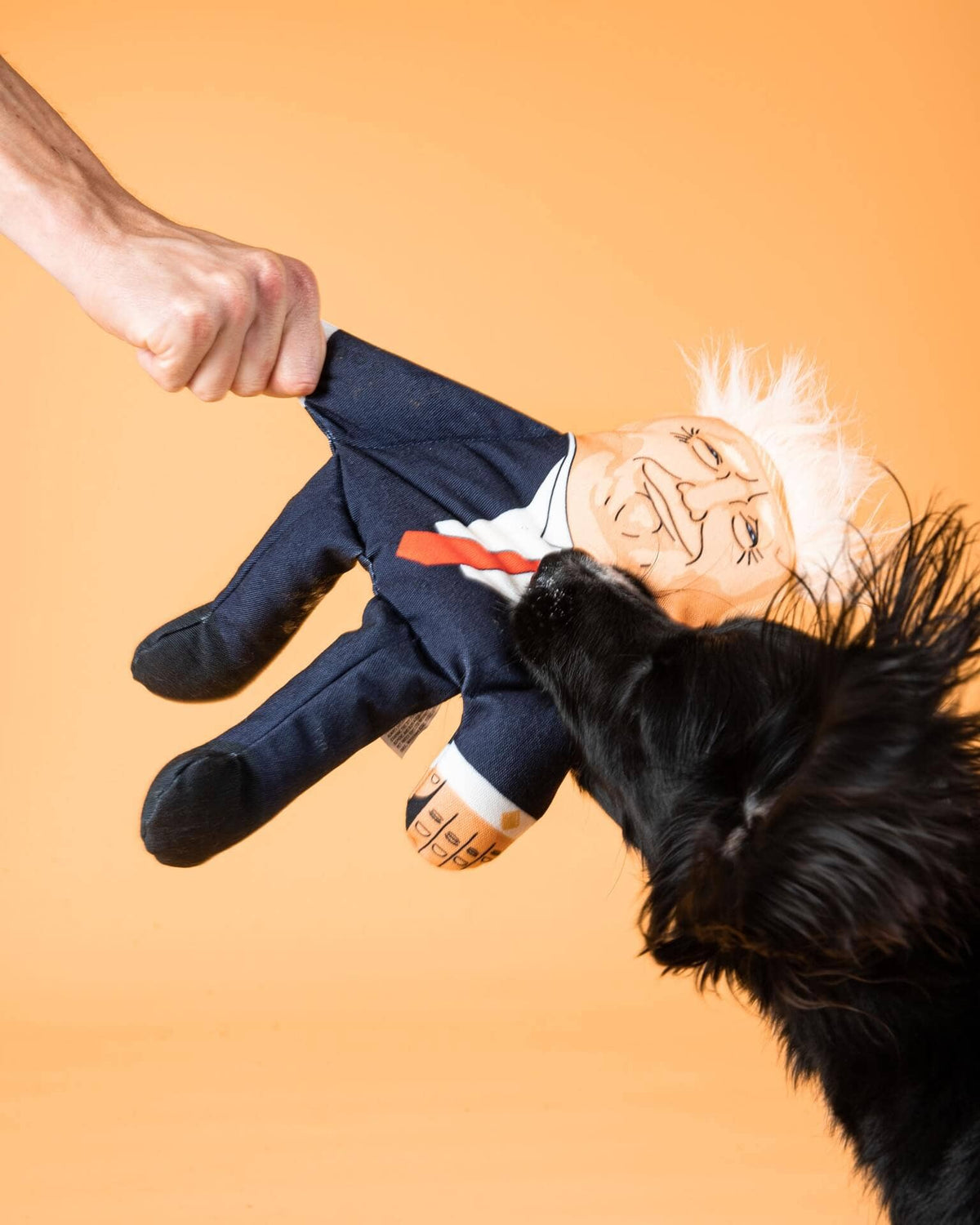 Donald Trump Dog Toy: Small