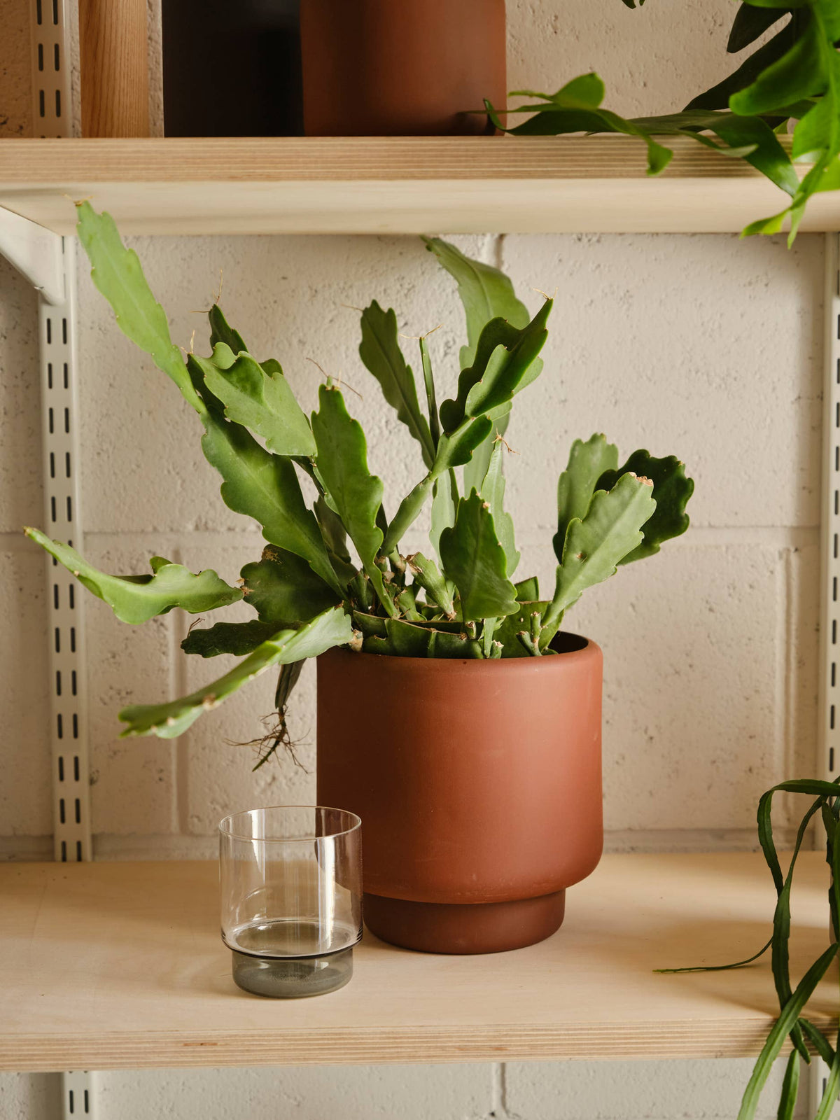BOTANY porcelain plant pot MEDIUM: Graphite Black