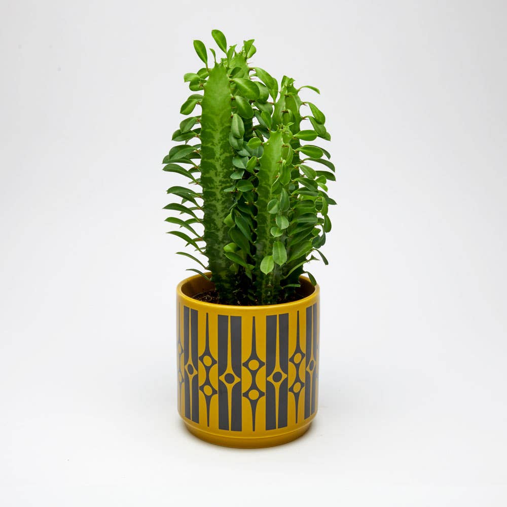 Magpie x Hornsea Medium Planty - Plant Pot Geo Chartreuse