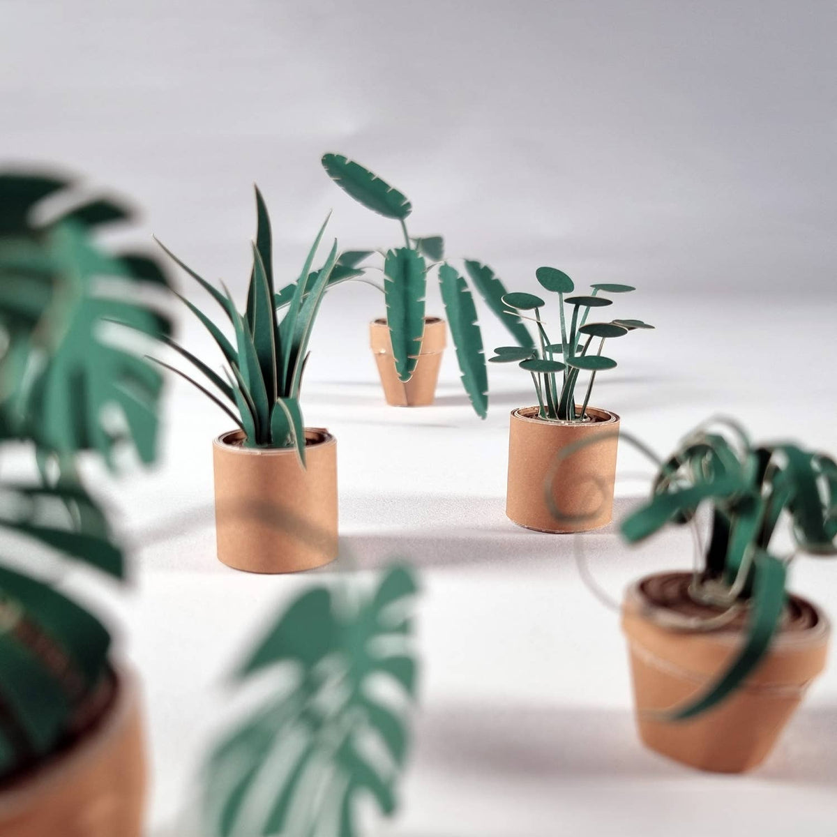 Paper Plants | Cute DIY Origami Kit