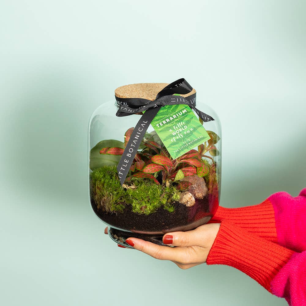 Round Glass Terrarium - Pre-Planted &amp; Easy Care