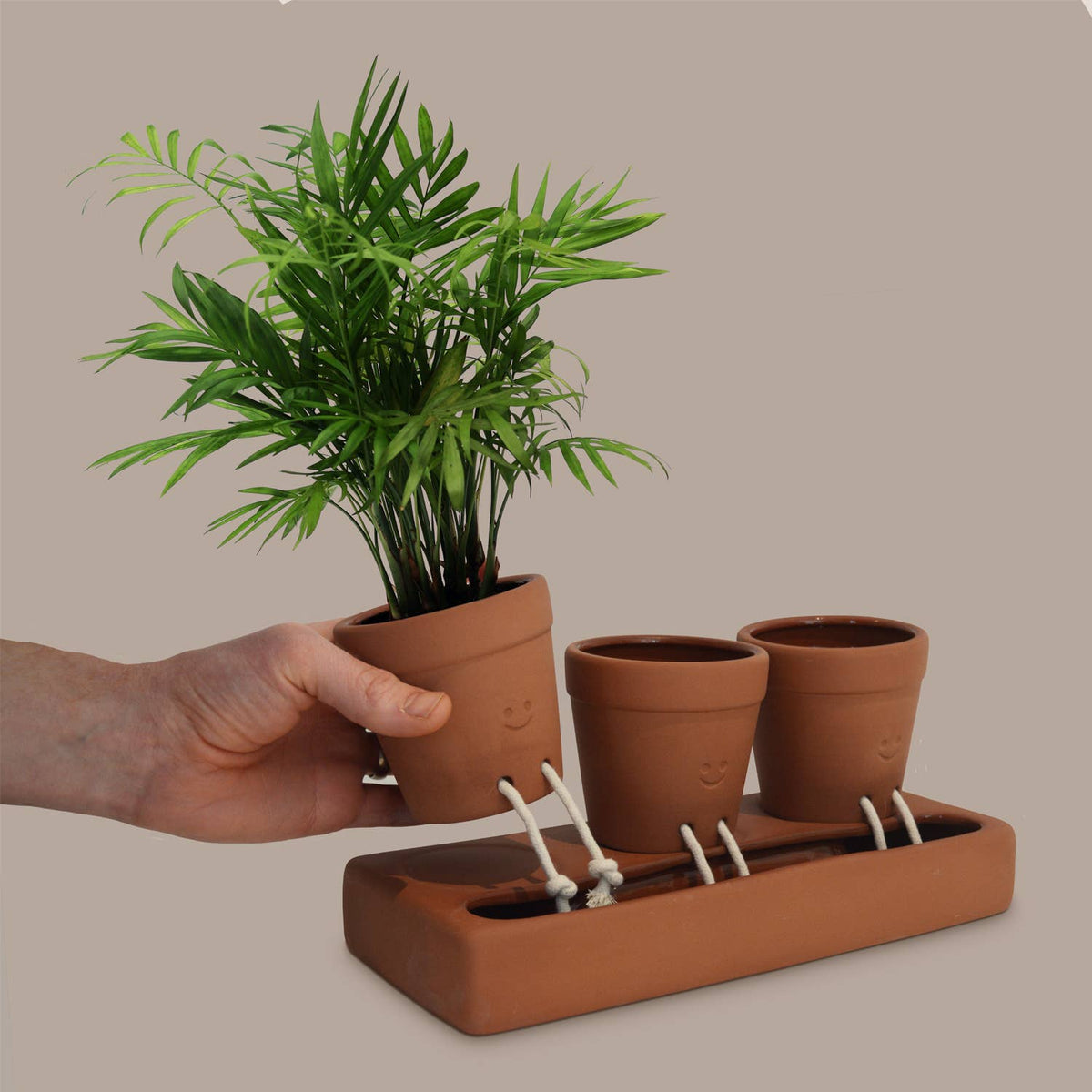 Trio Self Care Planter| Self Watering Plant Pot | Home Decor