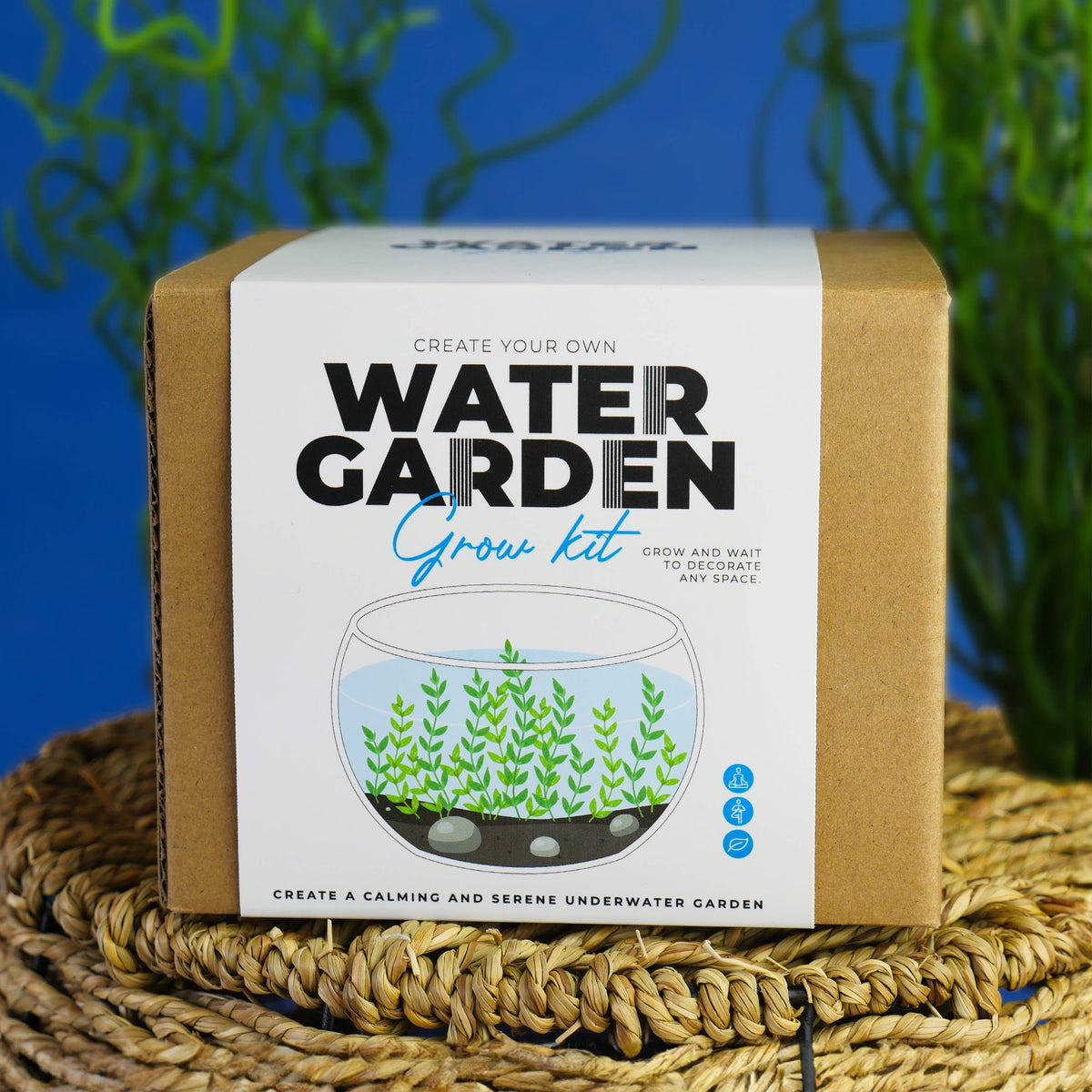 Water Garden
