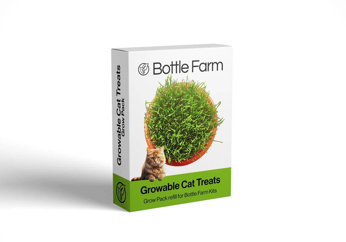 Cat Treat Grow Pack Cat Grass Catnip Indoor Growers Kit Gift