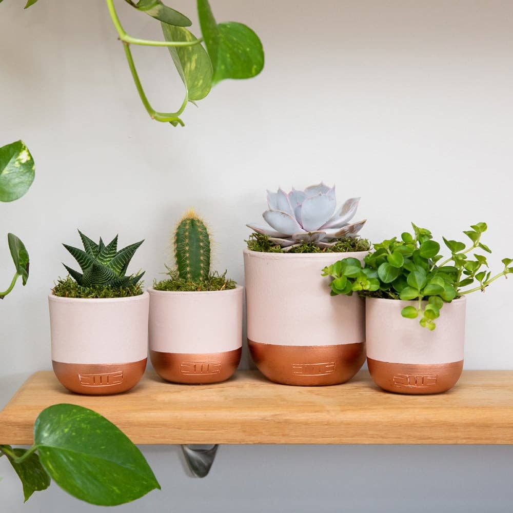 Indoor Metallic Dipped Pot/ Planter: Small / Pink And Copper