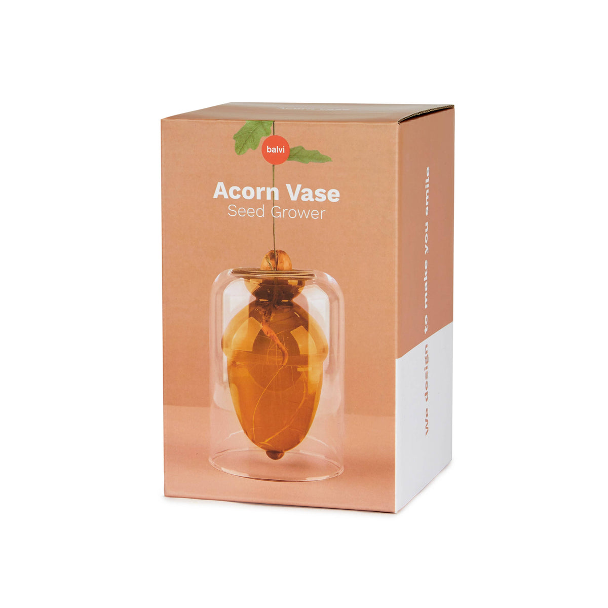Balvi Glass Seed Grower Acorn