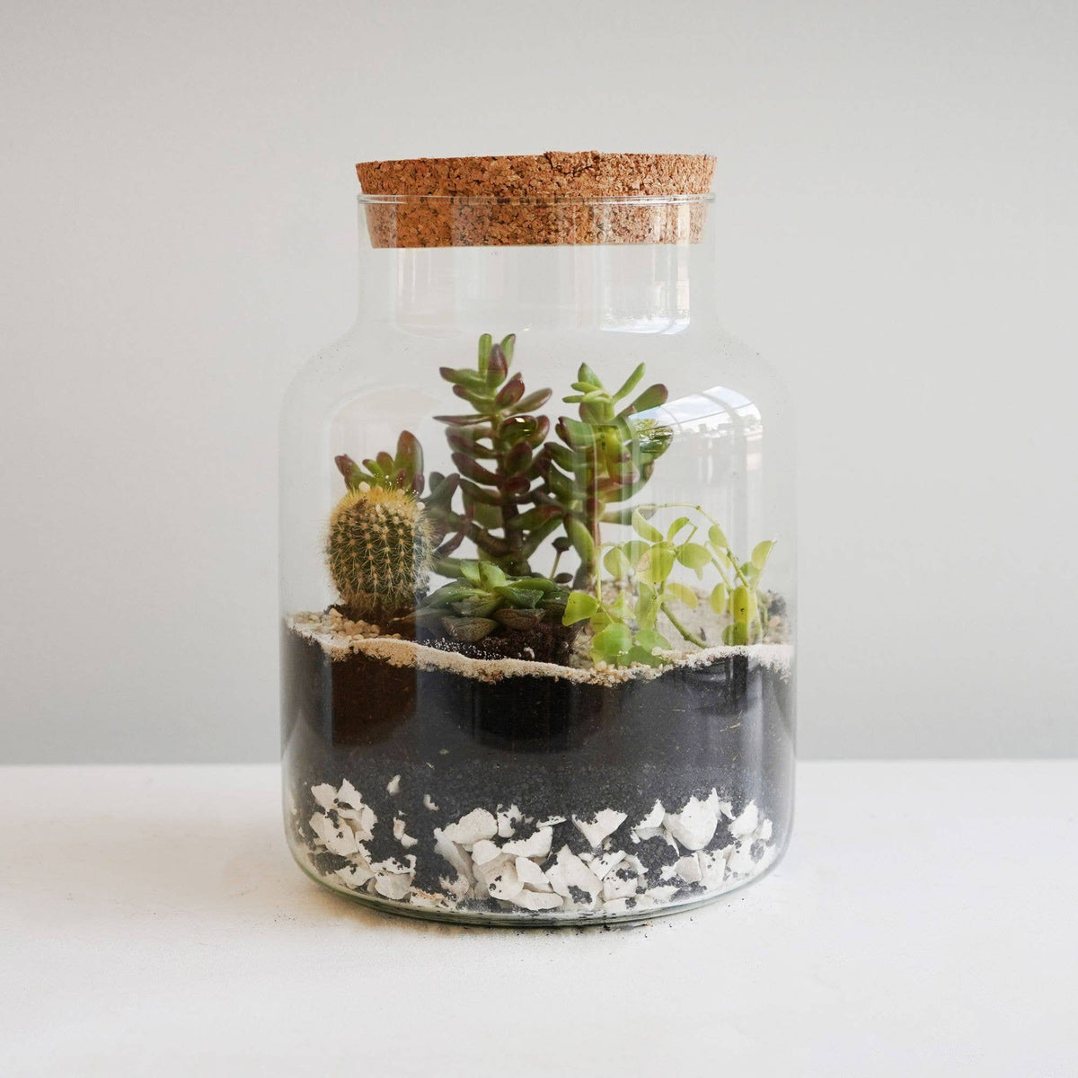 Bottle Shape Large Terrarium DIY Kit  H26.5cm W19cm