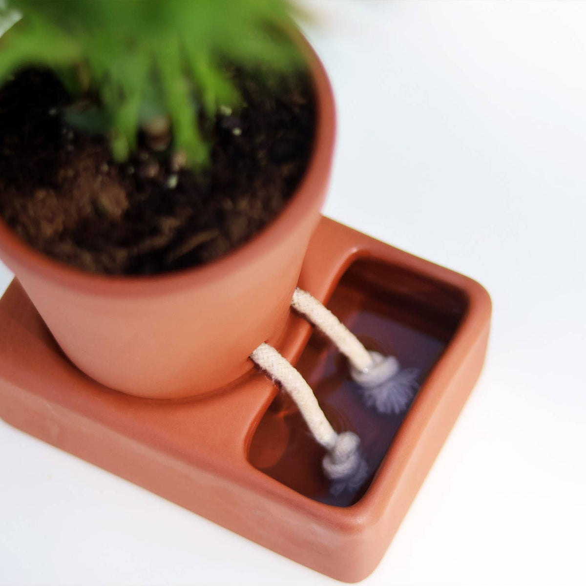 Self Care Planter | Self Watering Plant Pot | Home Accents
