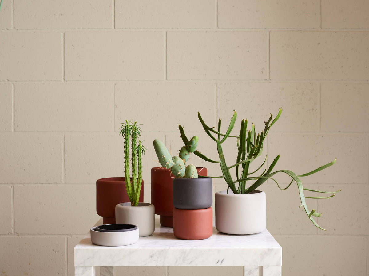 BOTANY porcelain Plant Pot SMALL: Dark Terracotta