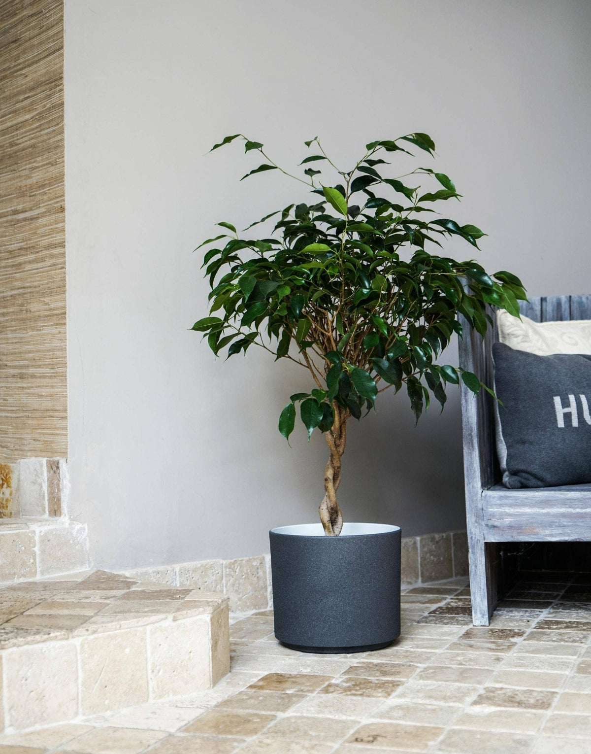 Leon Premium Glaze, Ceramic Planter: Granite / Small