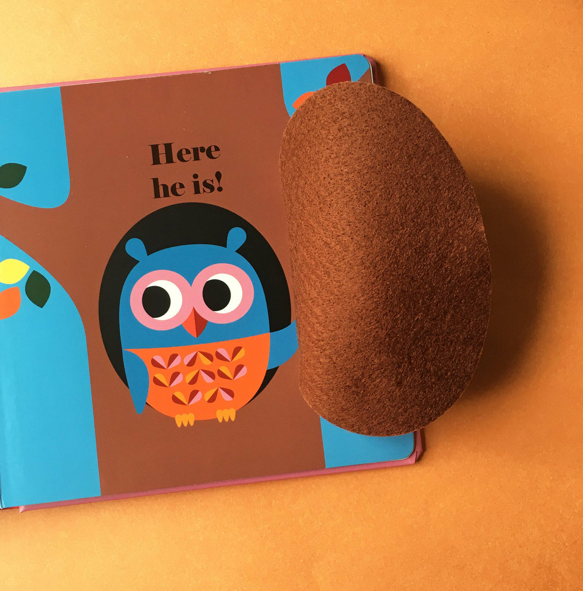 Felt Flaps: Where's Mr Owl?