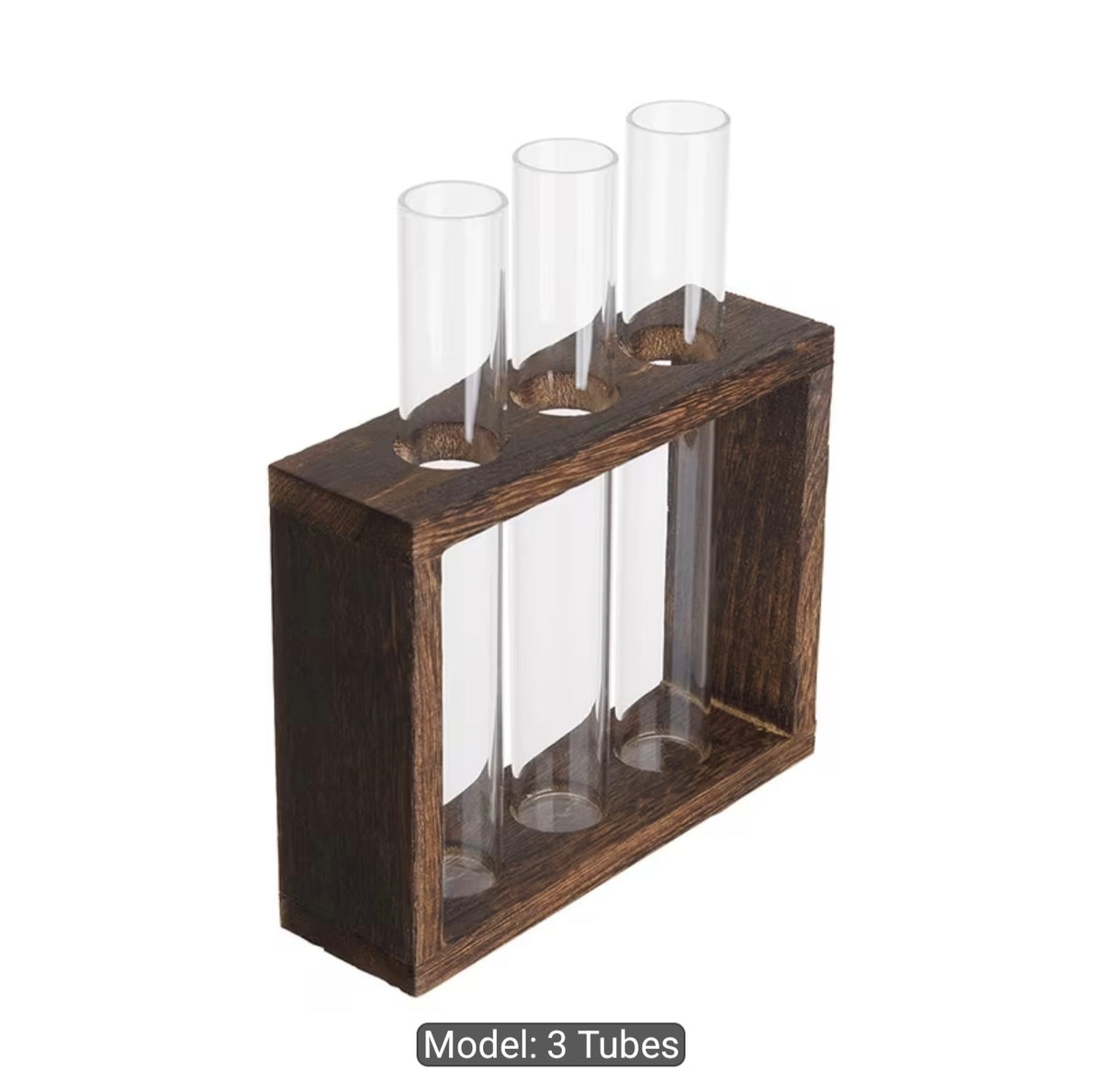 Glass Planter Test Tube Vase with Wooden Stand: Frame 3 Test Tubes