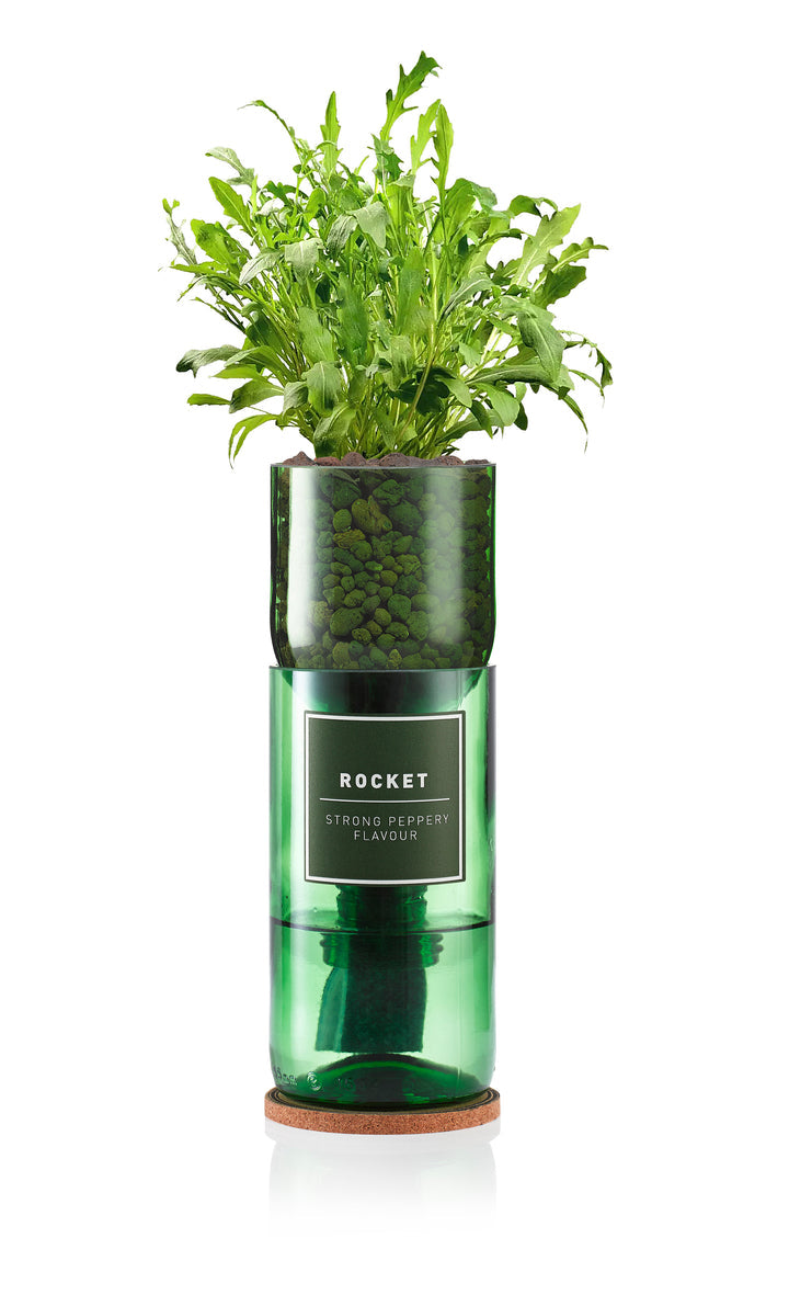 Hydro-Herb Rocket