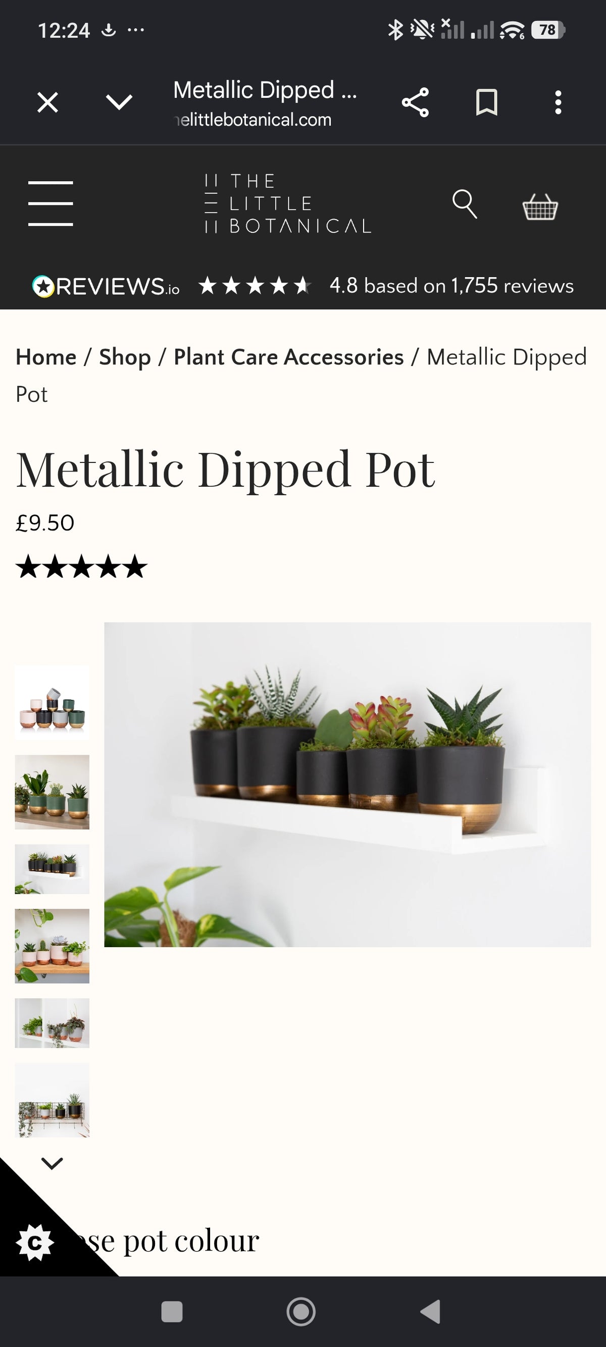 Indoor Metallic Dipped Pot/ Planter: Small / Black and Gold
