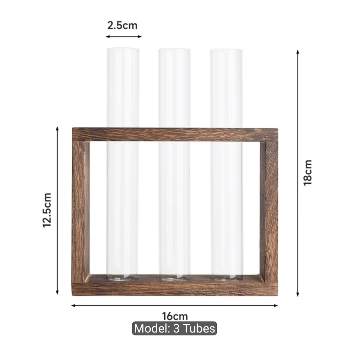 Glass Planter Test Tube Vase with Wooden Stand: Frame 3 Test Tubes